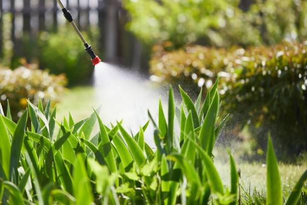Tamper-Resistant Bait Stations for Rodents in Center Hill