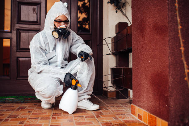 Attic and Crawl Space Rodent Treatment in Center Hill