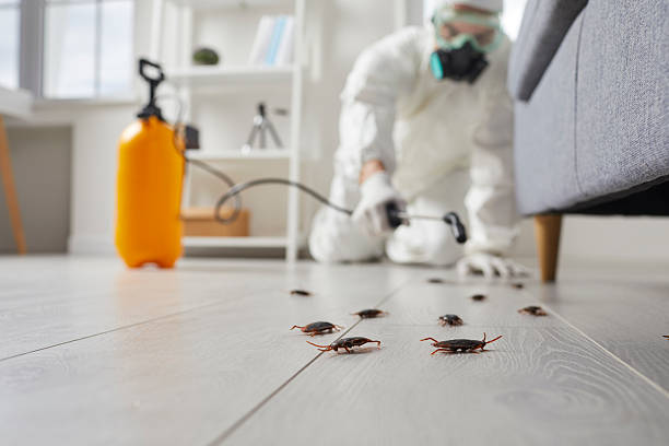 Commercial Rodent Management in Center Hill